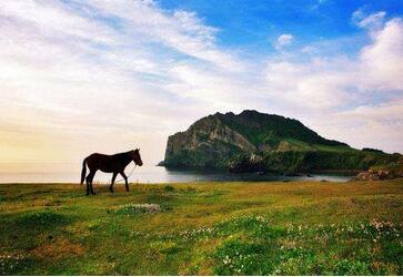 被韩国拒签过还能免签去韩国看冬奥会吗? 被韩国拒签过还能免签去韩国看冬奥会吗?