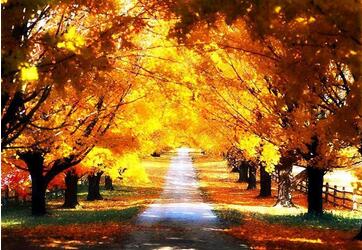 韩国签证加急需要提供的材料多吗? 韩国签证加急需要提供的材料多吗?