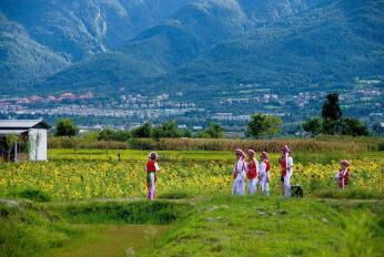在云南能办理越南签证吗? 在云南能办理越南签证吗?