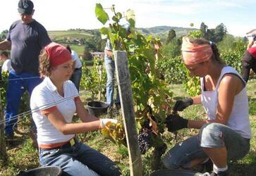 澳大利亚打工与度假签证有哪些申请要求? 澳大利亚打工与度假签证有哪些申请要求?