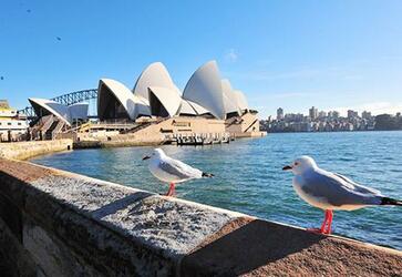 澳大利亚驻华使馆有哪些? 澳大利亚驻华使馆有哪些?