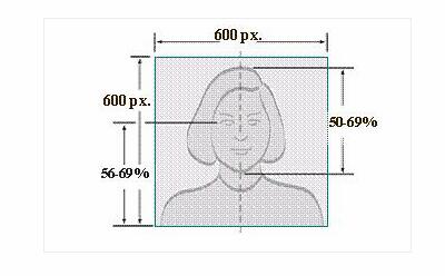 美国签证ds-160表格照片模板