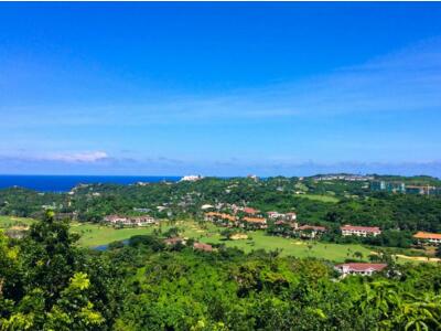 菲律宾大使馆什么时候受理签证? 菲律宾大使馆什么时候受理签证?