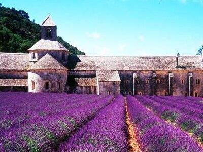 如何办理法国探亲签证? 如何办理法国探亲签证?