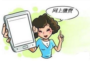 在网上缴纳缅甸签证费用银行卡信息会不会被盗用? 在网上缴纳缅甸签证费用银行卡信息会不会被盗用?