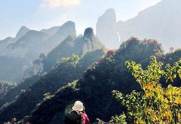 出入境新加坡需要注意什么? 出入境新加坡需要注意什么?