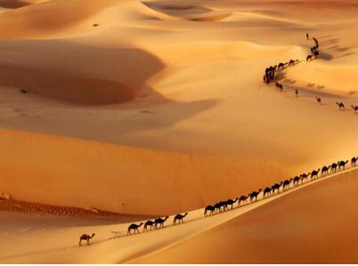 代办沙特签证可以简化材料吗? 代办沙特签证可以简化材料吗?