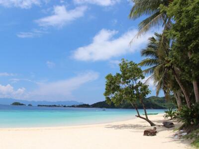 从中国去菲律宾办理签证需要几天时间? 从中国去菲律宾办理签证需要几天时间?