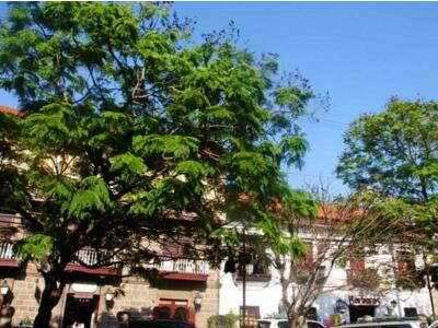 菲律宾有半年商务签证吗? 菲律宾有半年商务签证吗?