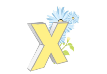 申请越南签证照片有损坏能出签吗? 申请越南签证照片有损坏能出签吗?