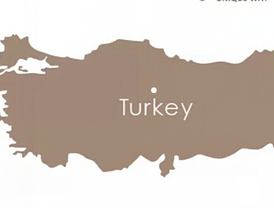 申请土耳其电子签证对照片有要求吗? 申请土耳其电子签证对照片有要求吗?