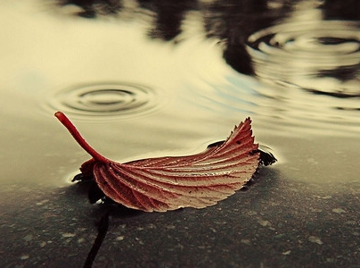 最早什么时候申请意大利签证? 最早什么时候申请意大利签证?