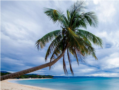菲律宾签证的领取时间 菲律宾签证的领取时间
