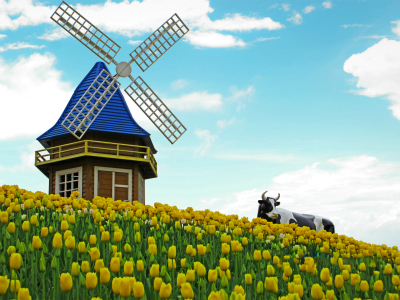 荷兰签证能加急申请吗? 荷兰签证能加急申请吗?