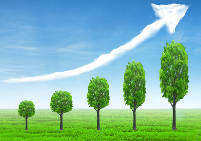 新西兰签证可以查询进度吗? 新西兰签证可以查询进度吗?