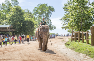 可以申请斯里兰卡单次入境签证吗? 可以申请斯里兰卡单次入境签证吗?