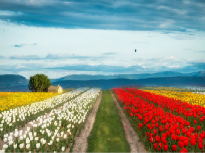 去荷兰免签吗? 去荷兰免签吗?