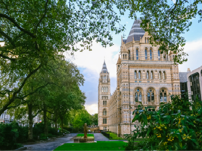 中文填写的英国签证申请表能办理签证吗？