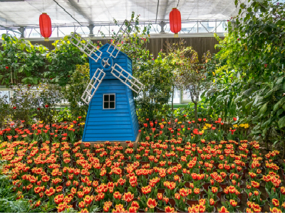 荷兰签证可以停留多久?可以一次停留半年吗? 荷兰签证可以停留多久?可以一次停留半年吗?