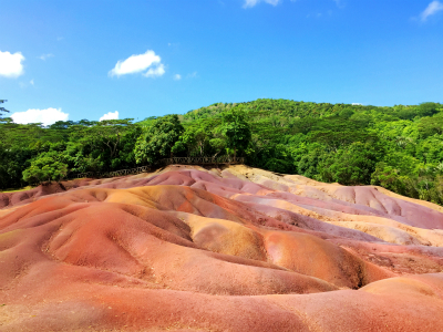 一个星期后出行办理南非签证来得及吗? 一个星期后出行办理南非签证来得及吗?