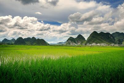 埃及商务签证可以入境几次? 埃及商务签证可以入境几次?