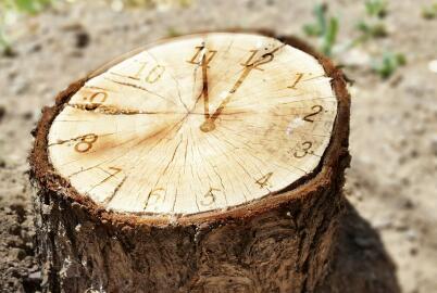 办理埃及签证全程需要多长时间? 办理埃及签证全程需要多长时间?