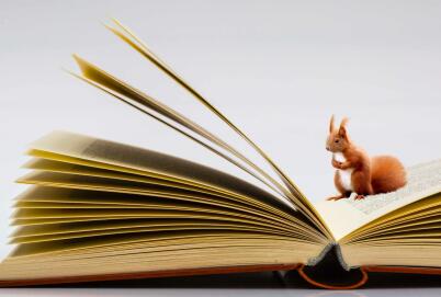 持新西兰电子签证须知 持新西兰电子签证须知