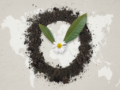 约旦签证的办理时间是多久? 约旦签证的办理时间是多久?