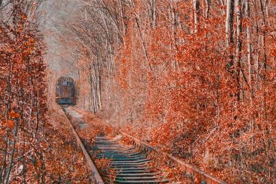 乌克兰签证类型多吗? 乌克兰签证类型多吗?