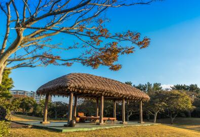 济州岛免签入境要求 济州岛免签入境要求