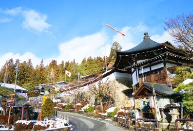 日本都有哪些类型的签证? 日本都有哪些类型的签证?