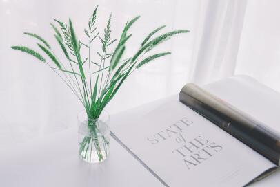 如何办理土耳其签证?有哪些方式? 如何办理土耳其签证?有哪些方式?