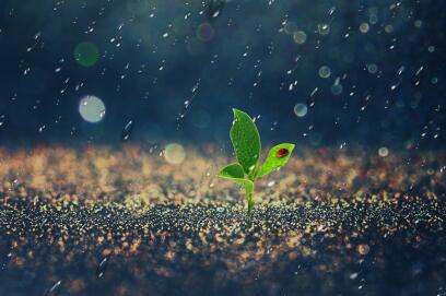 斯里兰卡电子签证好办吗? 斯里兰卡电子签证好办吗?