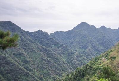 过境埃塞俄比亚都需要准备什么? 过境埃塞俄比亚都需要准备什么?