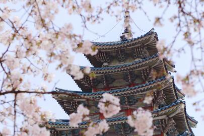 韩国五年多次签证往返条件 韩国五年多次签证往返条件