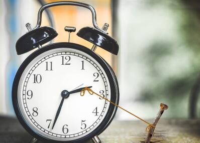 缅甸商务电子签证和贴纸签证的有效期是多久? 缅甸商务电子签证和贴纸签证的有效期是多久?