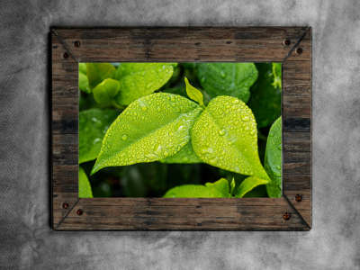 老挝签证对照片质量有要求吗? 老挝签证对照片质量有要求吗?