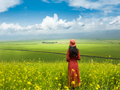 持荷兰旅游签证可以使用多久? 持荷兰旅游签证可以使用多久?