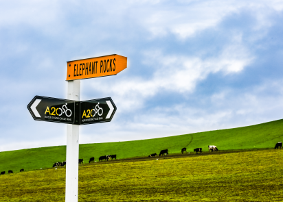 新西兰只能办理电子签证吗? 新西兰只能办理电子签证吗?