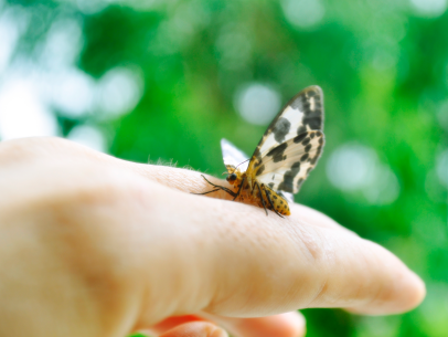 持马来西亚entri签证入境后最长能停留多久? 持马来西亚entri签证入境后最长能停留多久?