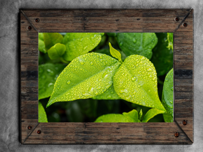 拍摄巴基斯坦签证照片时的注意事项 拍摄巴基斯坦签证照片时的注意事项