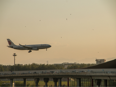 落地签证的停留时间是多久?可以多次往返吗? 落地签证的停留时间是多久?可以多次往返吗?
