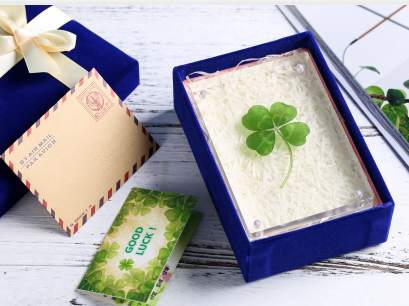 伊拉克使馆对照片除基本要求外还有其他要求吗? 伊拉克使馆对照片除基本要求外还有其他要求吗?