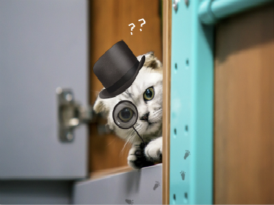 在北京使馆办理菲律宾签证有什么区别吗? 在北京使馆办理菲律宾签证有什么区别吗?