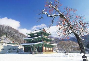 韩国签证费用是多少? 韩国签证费用是多少?