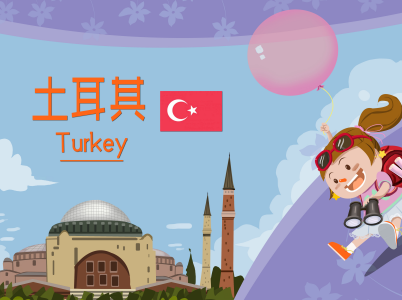 持有效土耳其签证还能再次申请吗? 持有效土耳其签证还能再次申请吗?