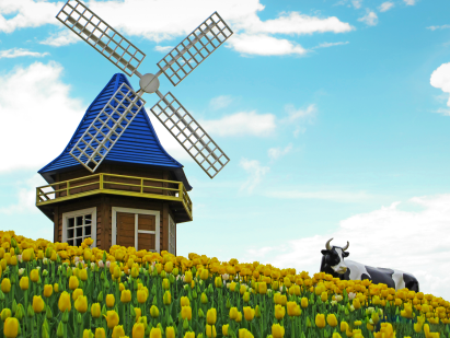 荷兰签证是到使馆递交申请吗? 荷兰签证是到使馆递交申请吗?