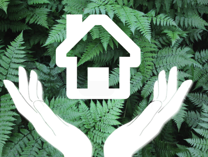 关于冰岛签证保险须知 关于冰岛签证保险须知