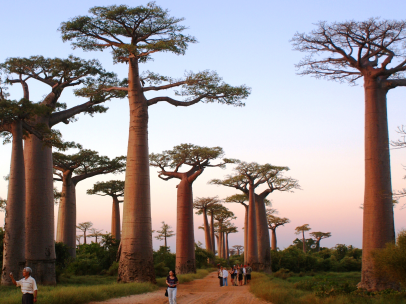 1569312304150848.png 马达加斯加签证好办吗?.png