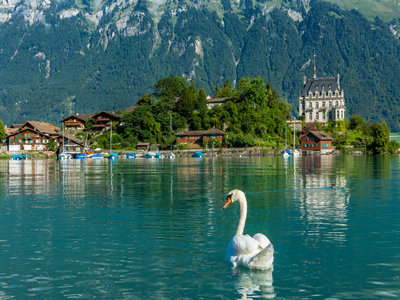 办理瑞士签证需要几天? 办理瑞士签证需要几天?